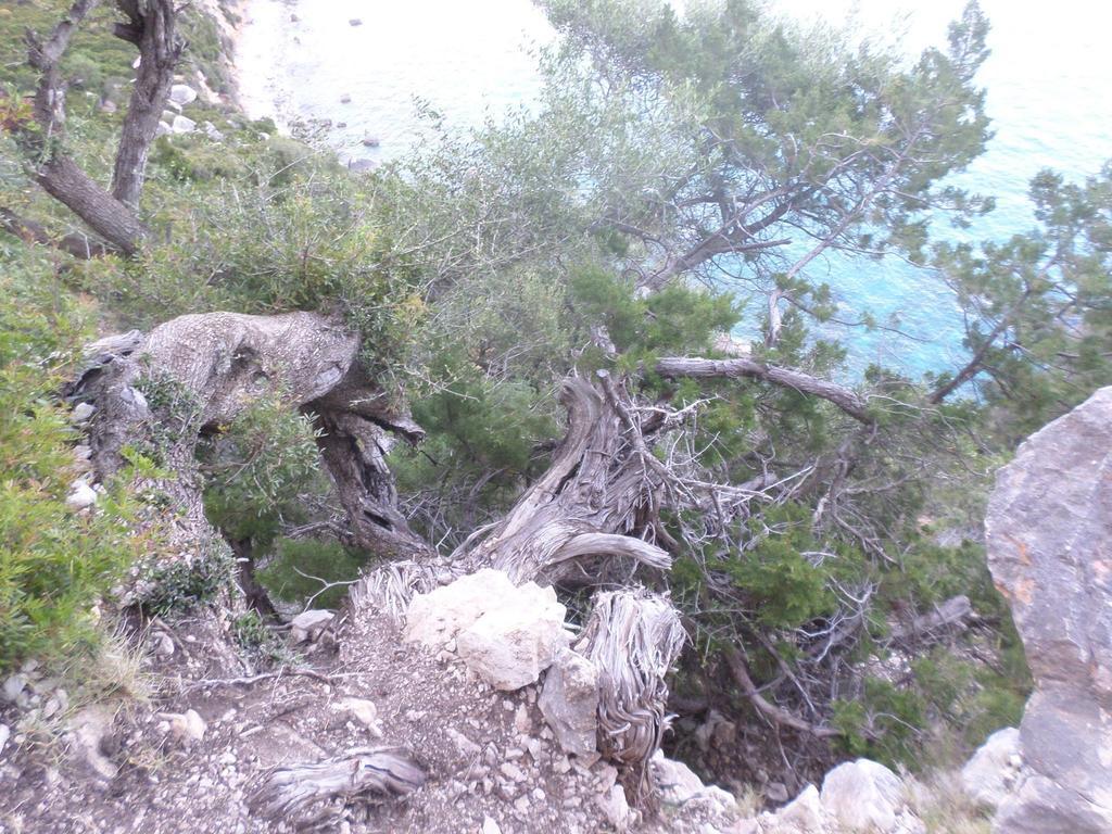 B&B Sa Funtana Cardedu Bagian luar foto