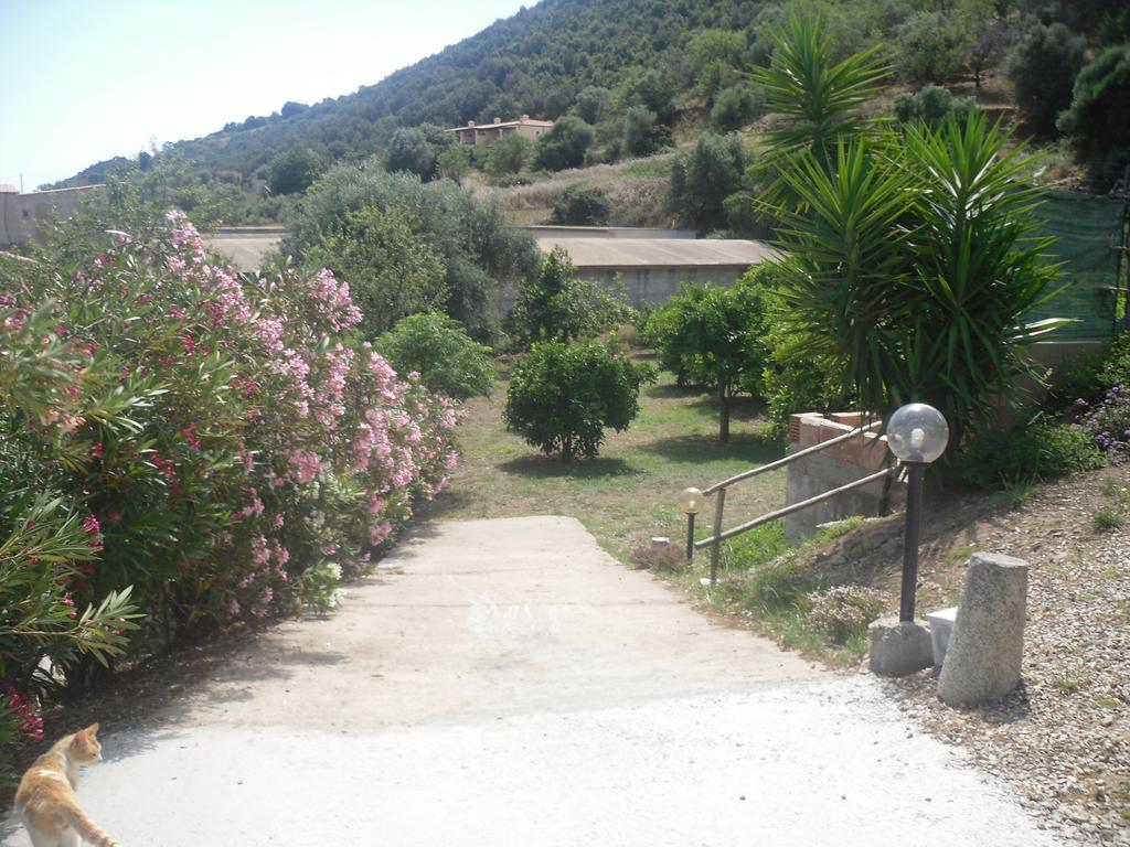 B&B Sa Funtana Cardedu Bagian luar foto