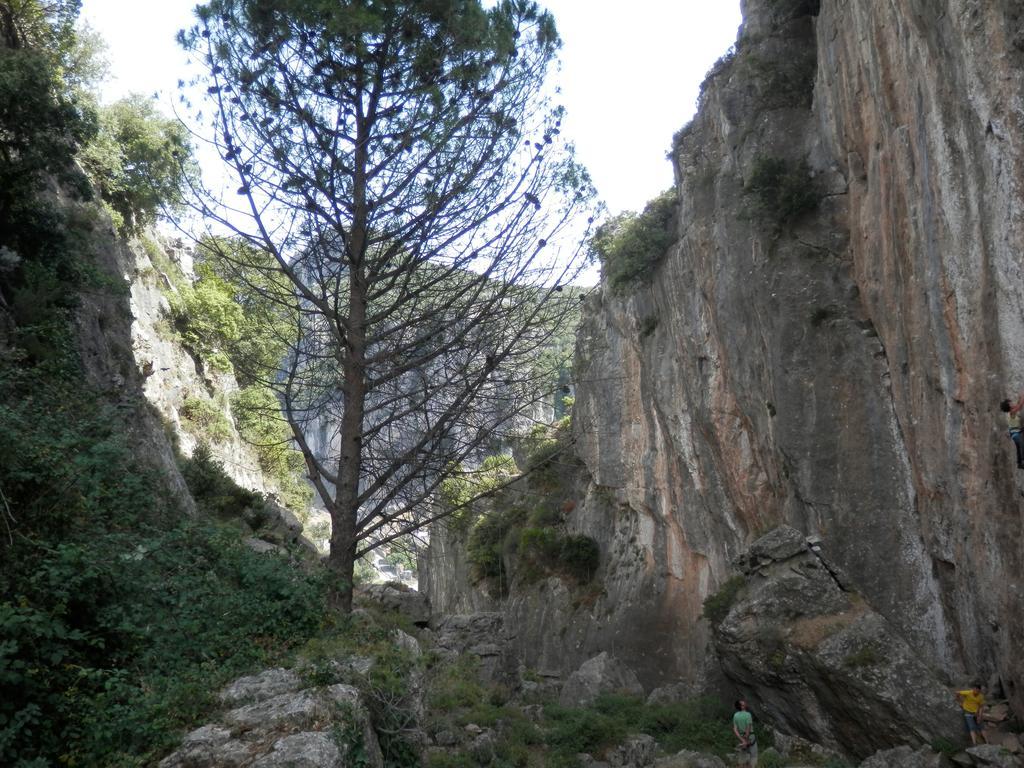 B&B Sa Funtana Cardedu Bagian luar foto
